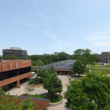 Neiu University